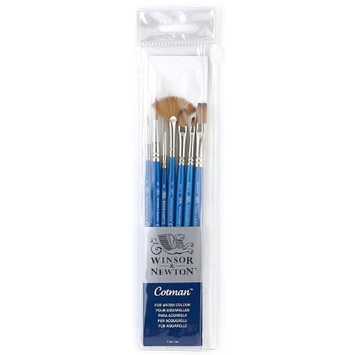 Winsor & Newton Cotman Short Handle Brush