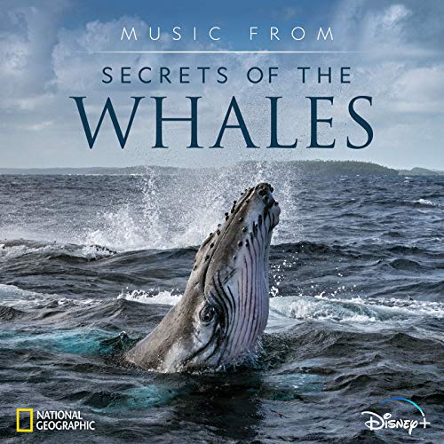 Whale Song Soundtrack