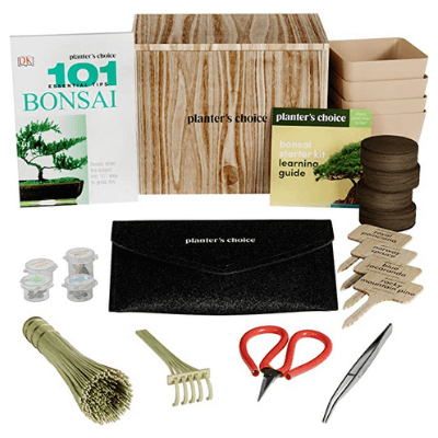 Premium Bonsai Kit
