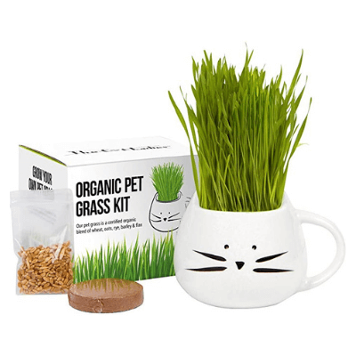 Organic Grass Kit For Cats