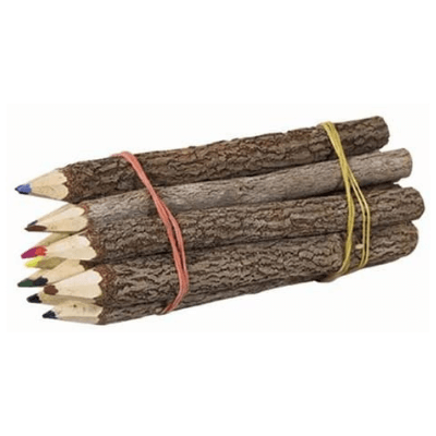 Unique Graphite Twig & Branch Pencils